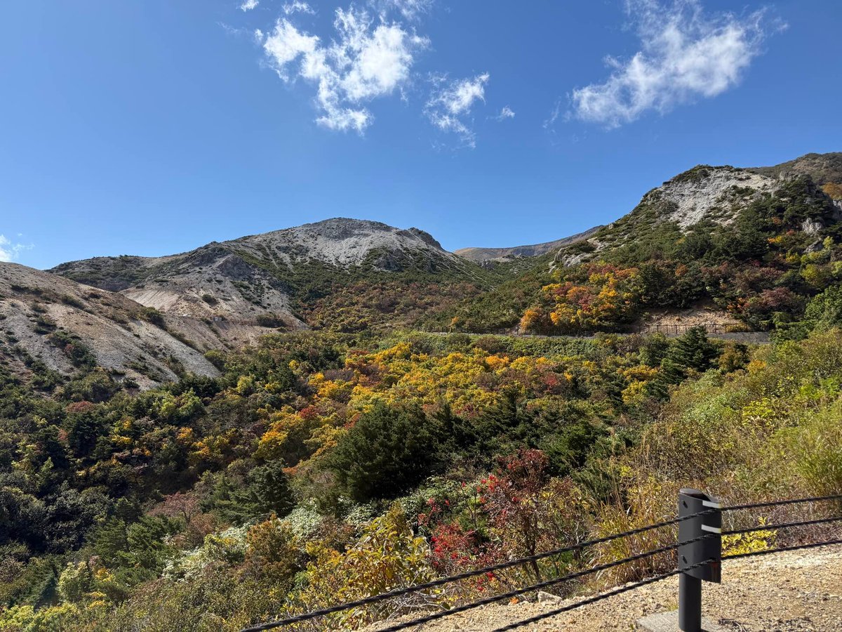 待避所からの景色